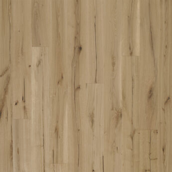 TGP 1L HRAST LAAX VINTAGE OLJE ČTK 4V 5Gc