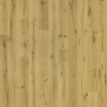 PARKET TGP 1L HRAST WILD ČETKAN EC OLJE LAK 5G