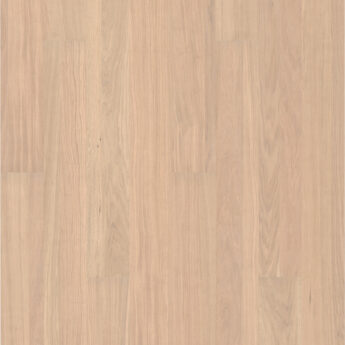 HRAST VISTA WHITE MAT LAK 5G Dry